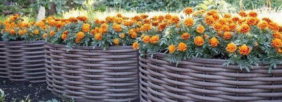 Мебель из полимерной лозы Мебель из полимерной лозы