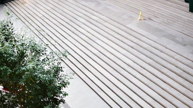 high-angle-view-tree-by-steps_1048944-20131379.jpg high-angle-view-tree-by-steps_1048944-20131379.jpg